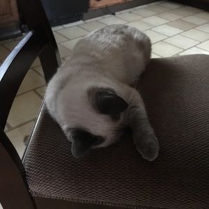 Meet your Posher, Daryn